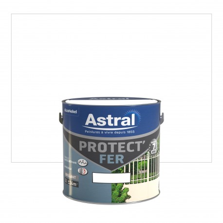 Peinture Protect Fer Astral